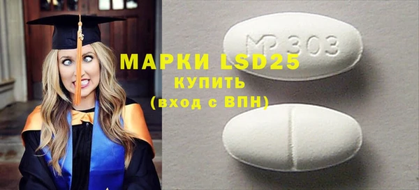 индика Новый Уренгой