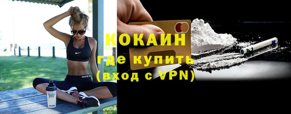 индика Новый Уренгой