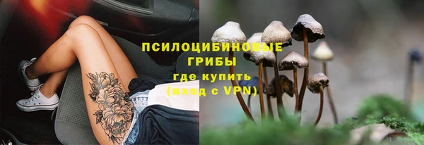 соль курить ск Нея
