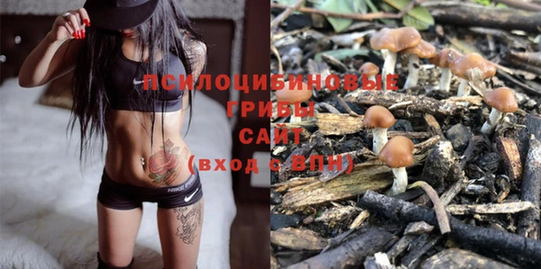 дурь Нефтегорск