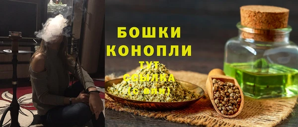индика Новый Уренгой